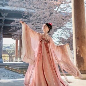 [Plum & Moon Ripple] Tang HanfuDress