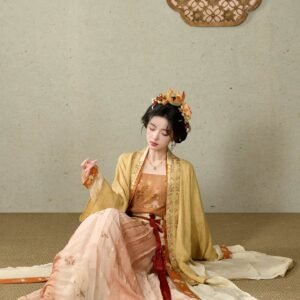 [Golden Cloud] Southern Song Dynasty Hanfu Set